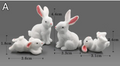 Mini Resin Animal Figurines | DIY Micro-Landscape Decor